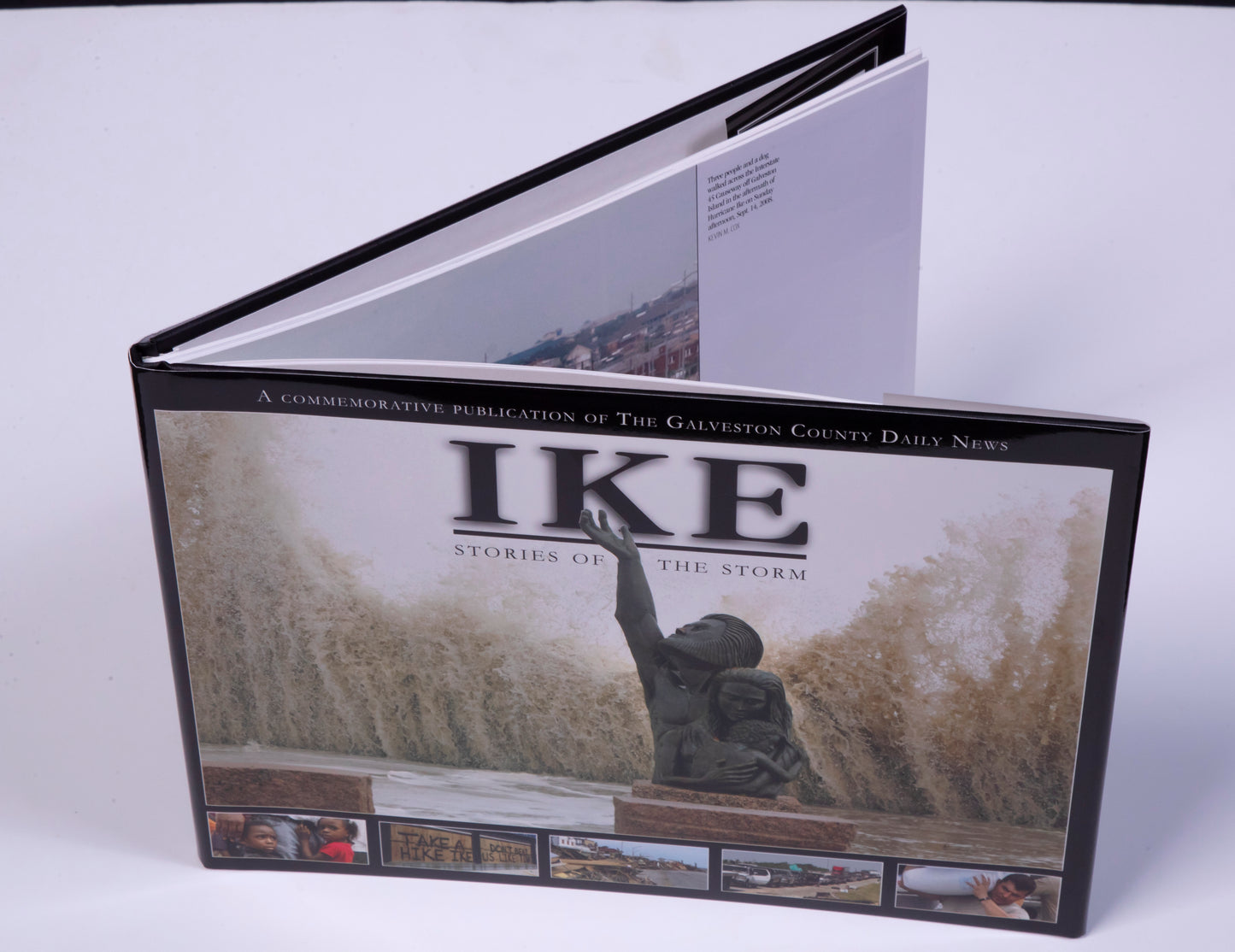 Hurricane Ike Book